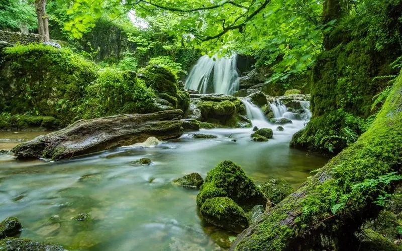 高标准高性能